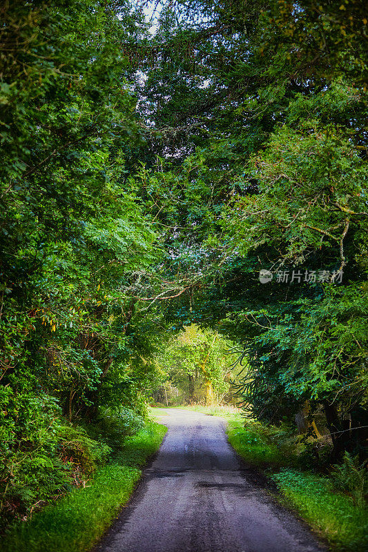 An English country road